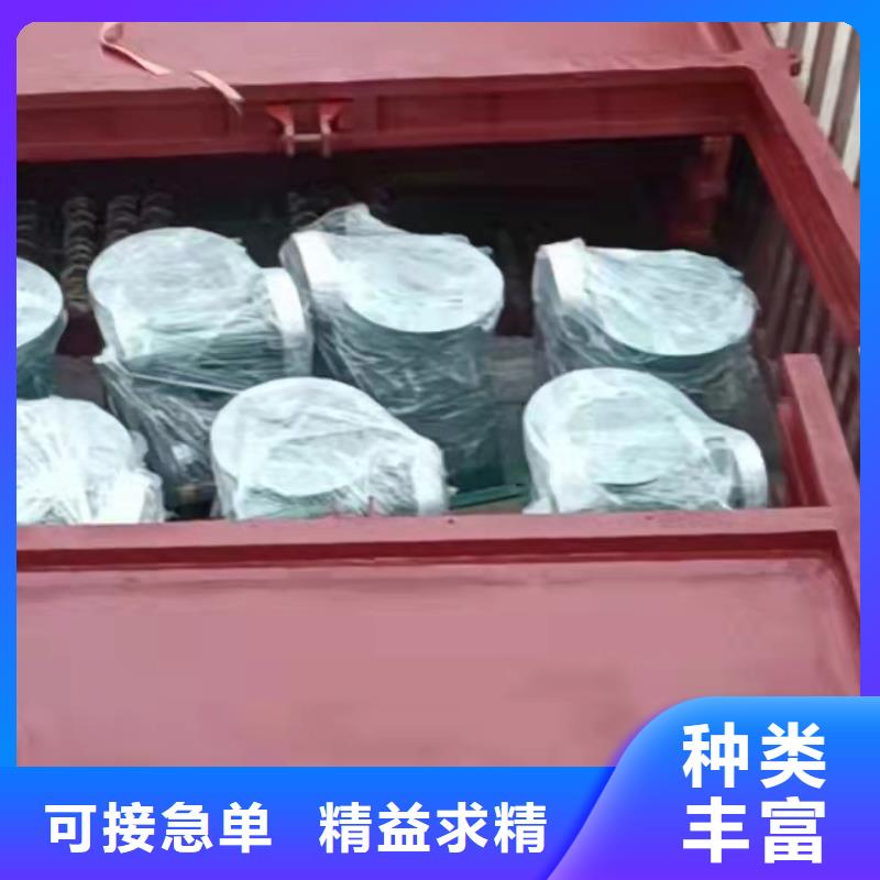 水电站铸铁闸门按需定制