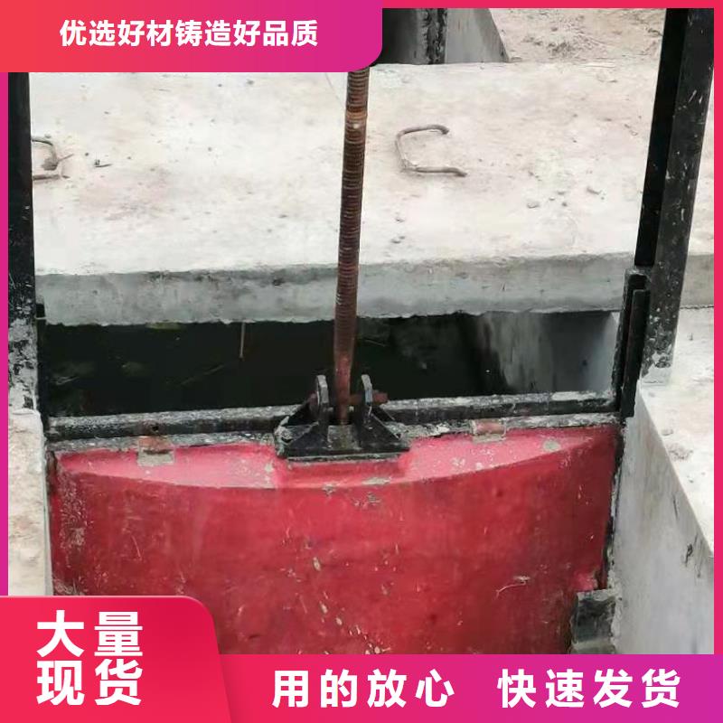 双向止水闸门厂家报价