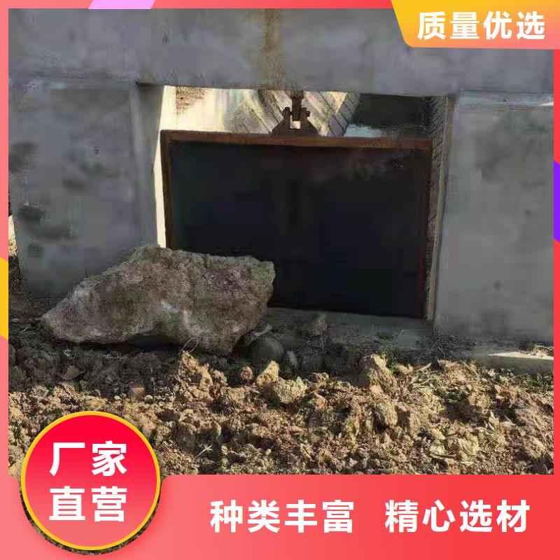 双向止水闸门规格齐全