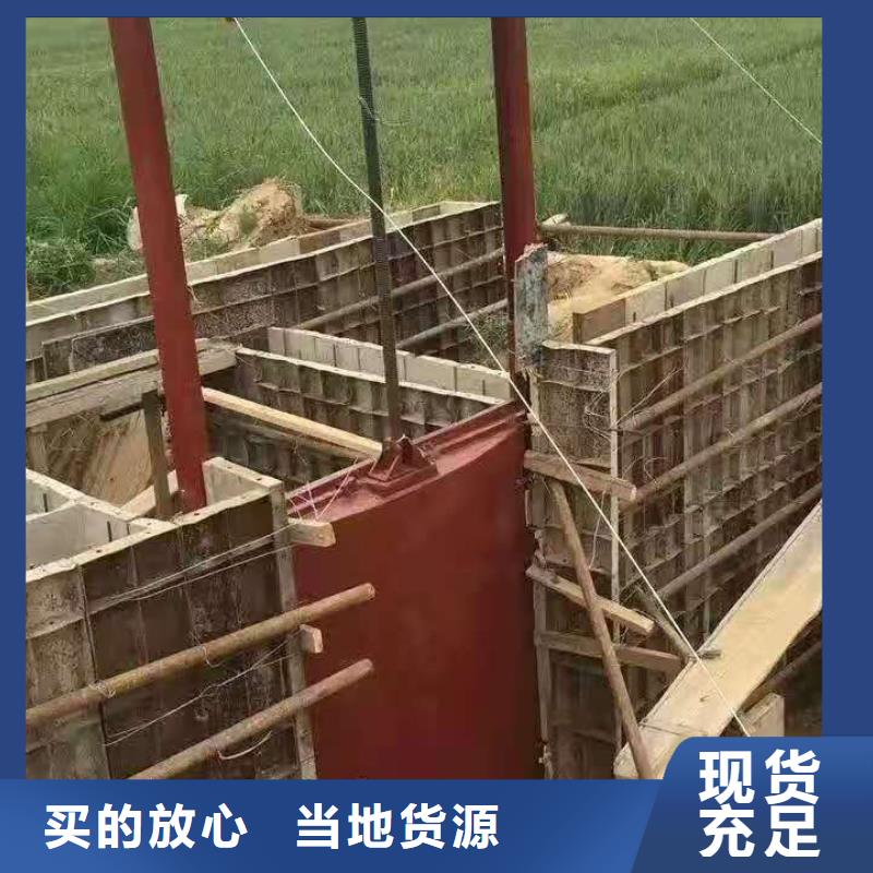 水电站铸铁闸门免费提供咨询