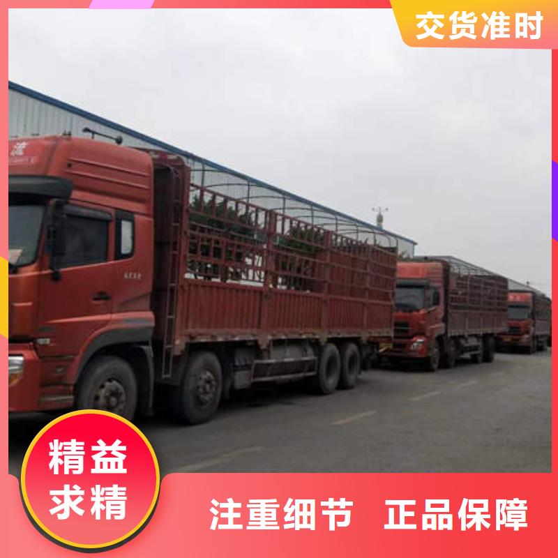 重庆到成都选购回头货车整车运输公司,快运+物流,海量接单,业务不愁.