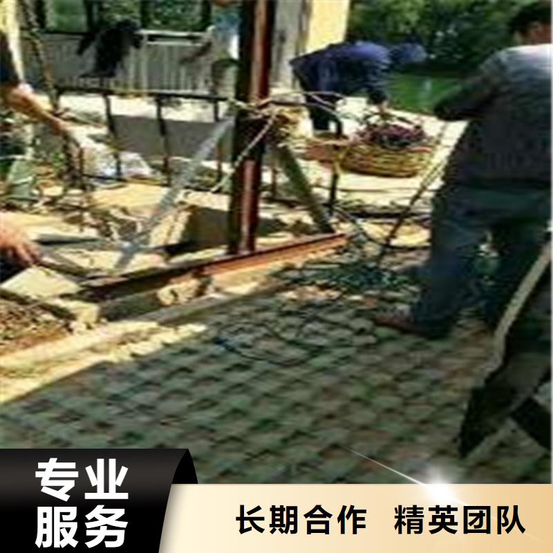 护弦树下安装解决方案