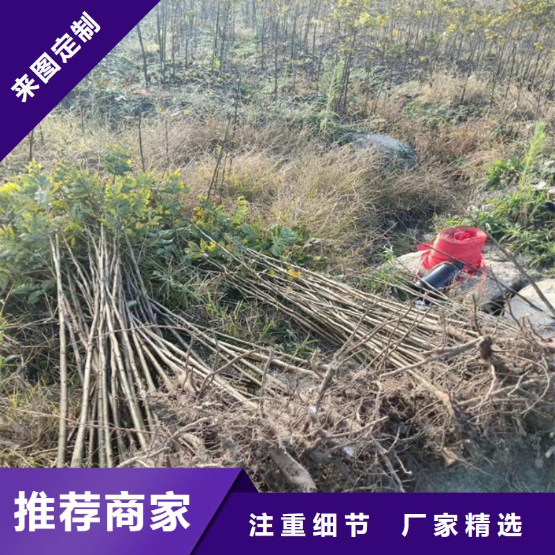 碧根果【嘎啦苹果】实力优品