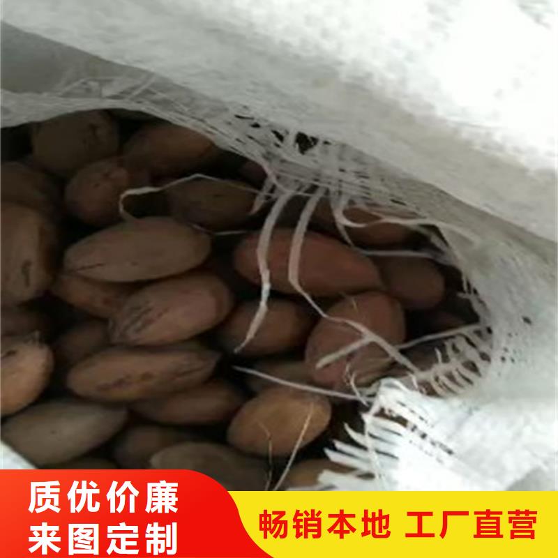 碧根果【嘎啦苹果】实力优品