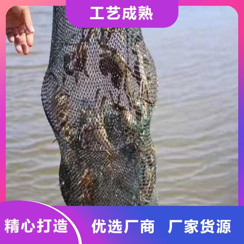 阳澄湖大闸蟹