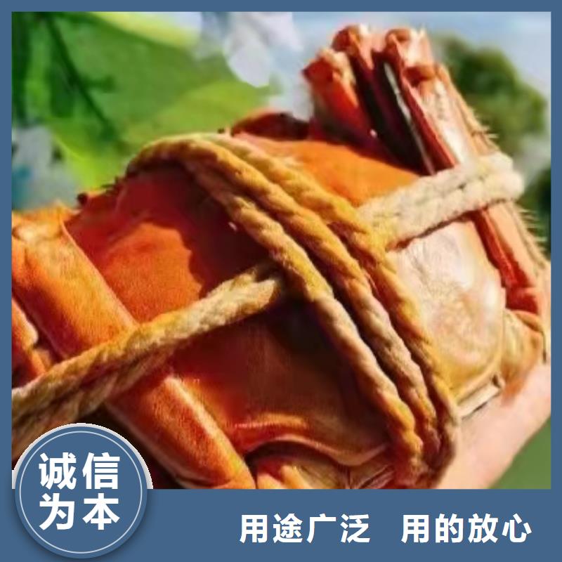 大闸蟹品牌-报价