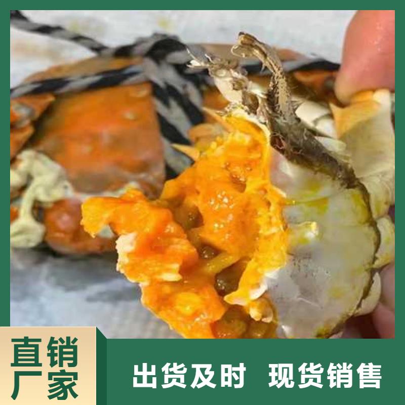 桦甸阳澄湖大闸蟹联系方式