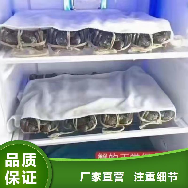 阳澄湖大闸蟹多少钱