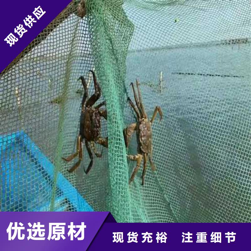 鲜活螃蟹价格行情