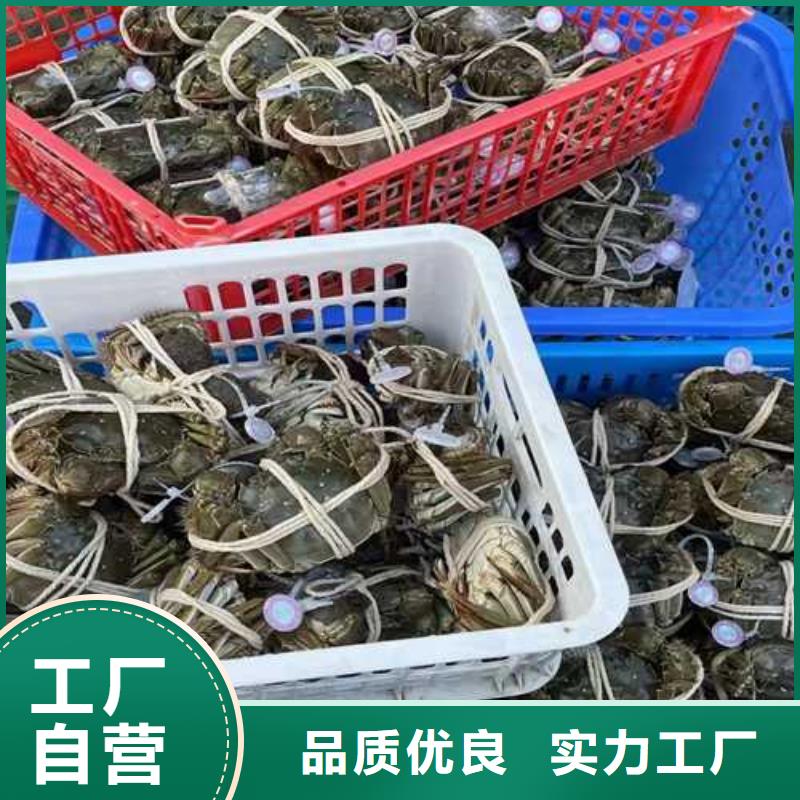 阳澄湖大闸蟹大厂家值得信赖