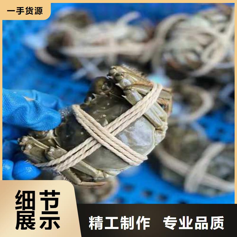 易门县阳澄湖大闸蟹价格