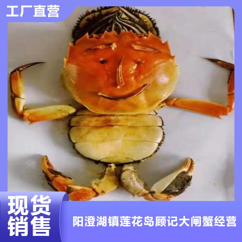 正宗阳澄湖大闸蟹团购