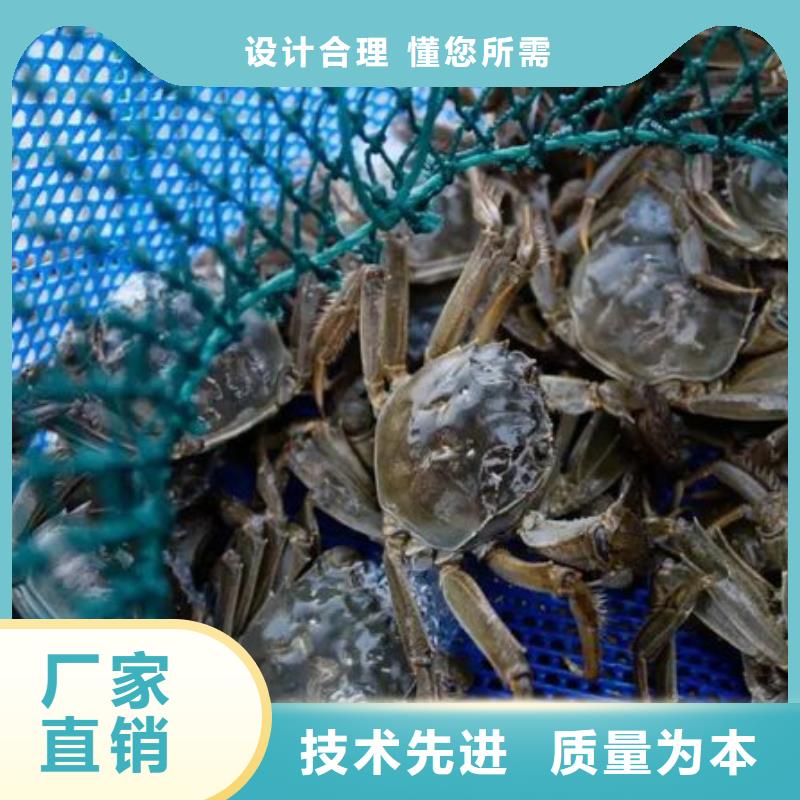 正宗阳澄湖大闸蟹团购