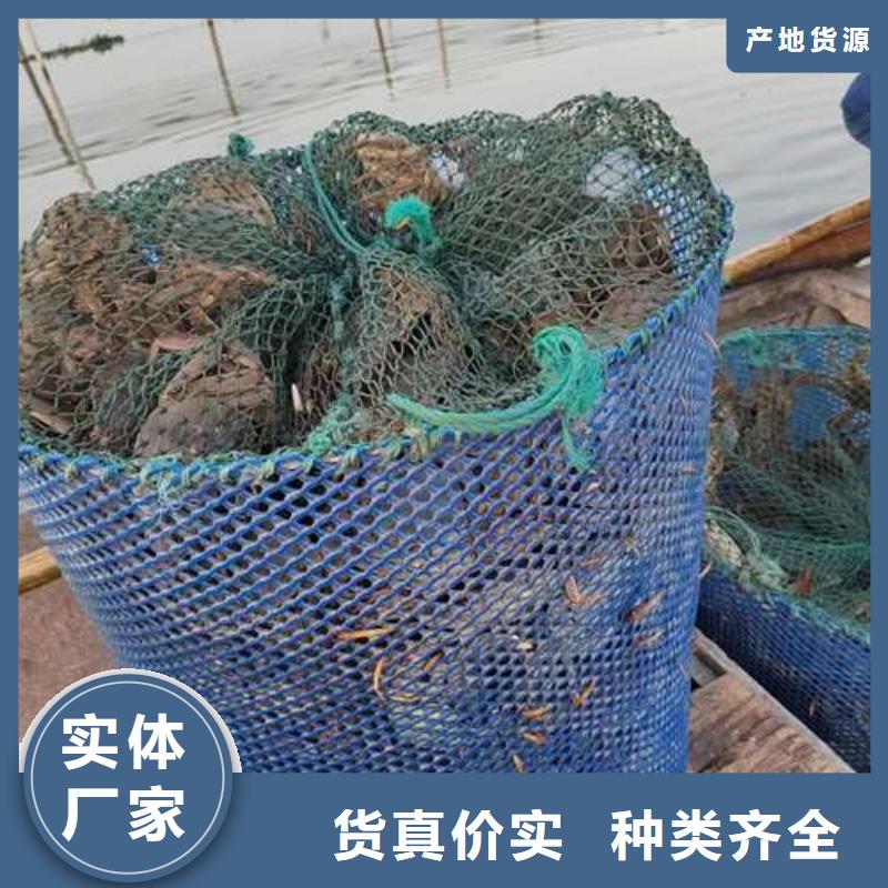 价格低的阳澄湖大闸蟹现货厂家