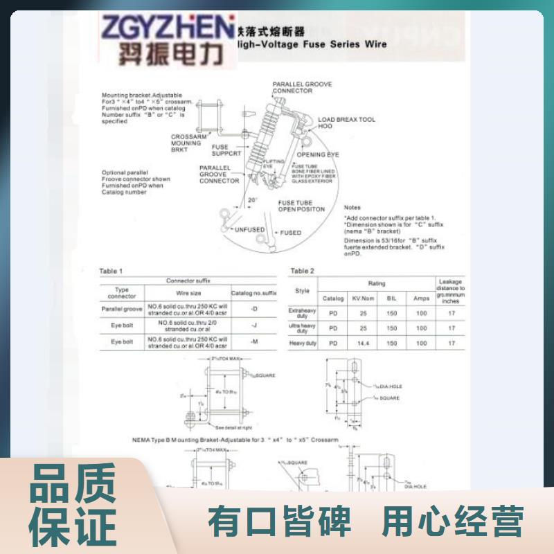 跌落式熔断器_RW12-12/100A