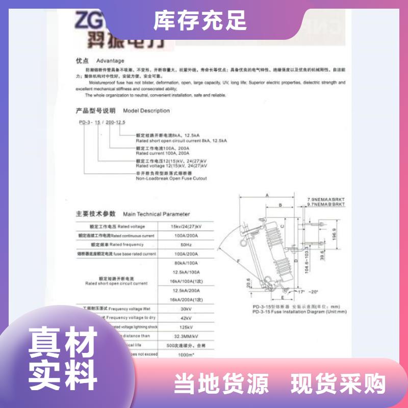 熔断器避雷器厂家实力雄厚