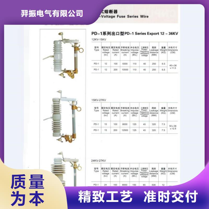 跌落式熔断器HRW12-12/200