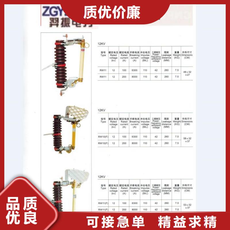 ［］户外高压跌落式熔断器RW12-10F/100A