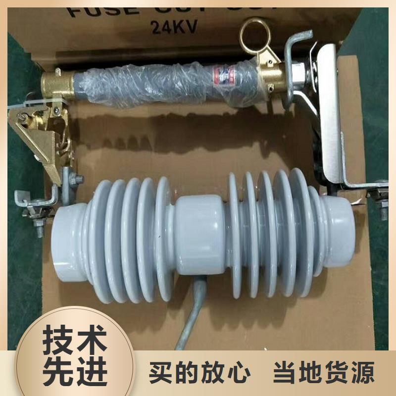 高压熔断器/户外高压跌落式熔断器PRW5-12F/100A