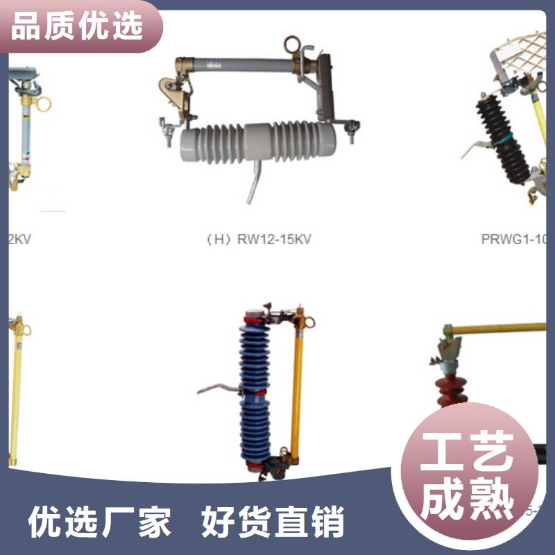 金属氧化物避雷器HY10WX-216562【浙江羿振电气有限公司】