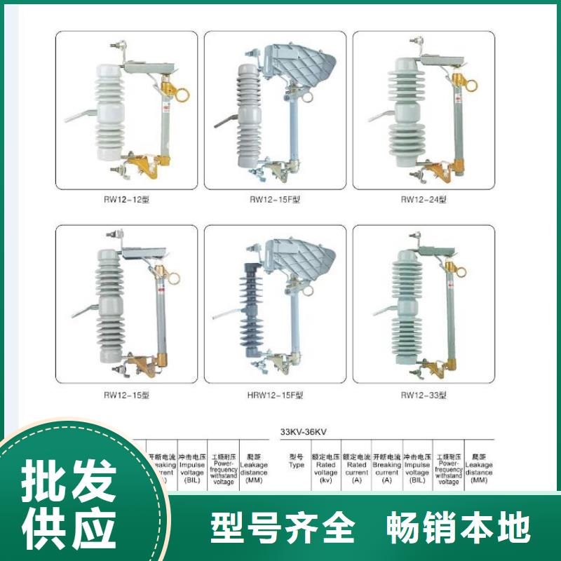 YH10WZ-108/281-金属氧化物避雷器