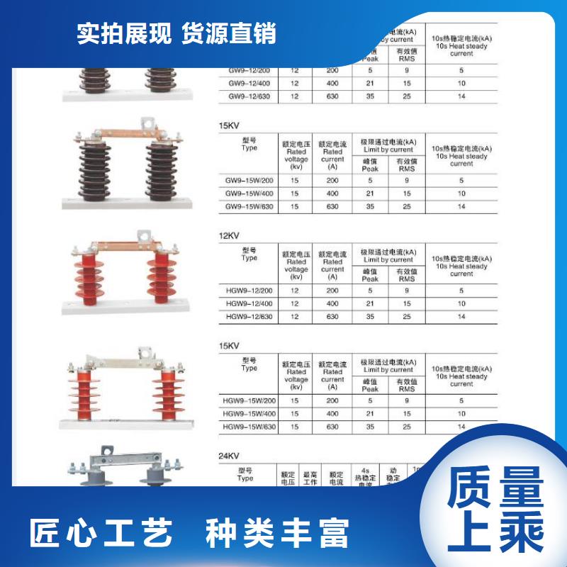 【高压隔离开关】绝缘子质保一年