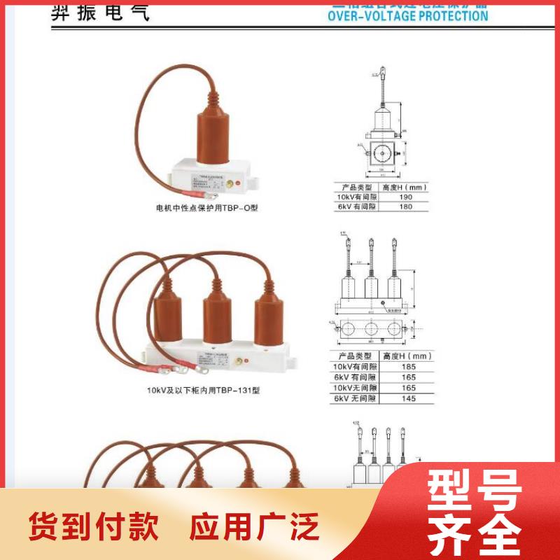 交流断路器/AC10kV＿630A＿25kA＿真空＿有隔离闸刀＿用户分界(电动＿永磁)，支柱式