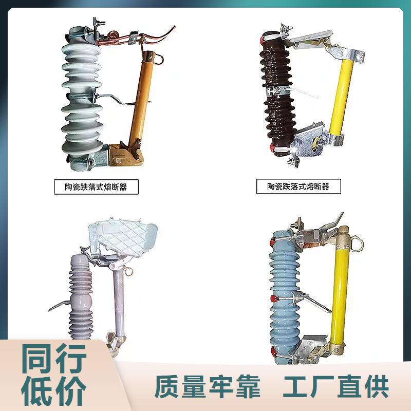 【羿振牌】跌落式熔断器RW-10/100A