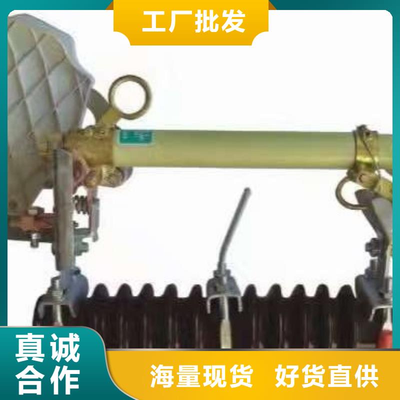 【羿振电力】跌落式熔断器HPRWG1-12F-100A