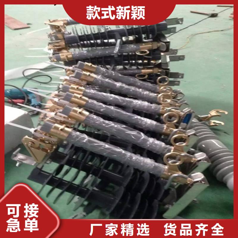 【羿振电力】跌落式熔断器HPRWG1-12F-100A