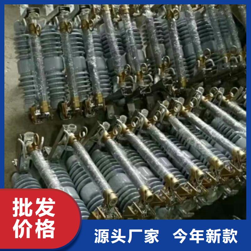 氧化锌避雷器Y5W-52.7/127量大从优浙江羿振电气有限公司