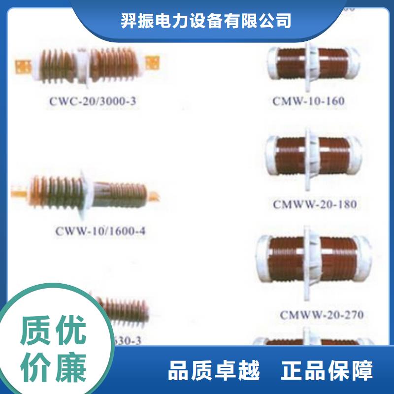 复合外套氧化锌避雷器YH5WZ-17/45【浙江羿振电气有限公司】避雷器生产厂家