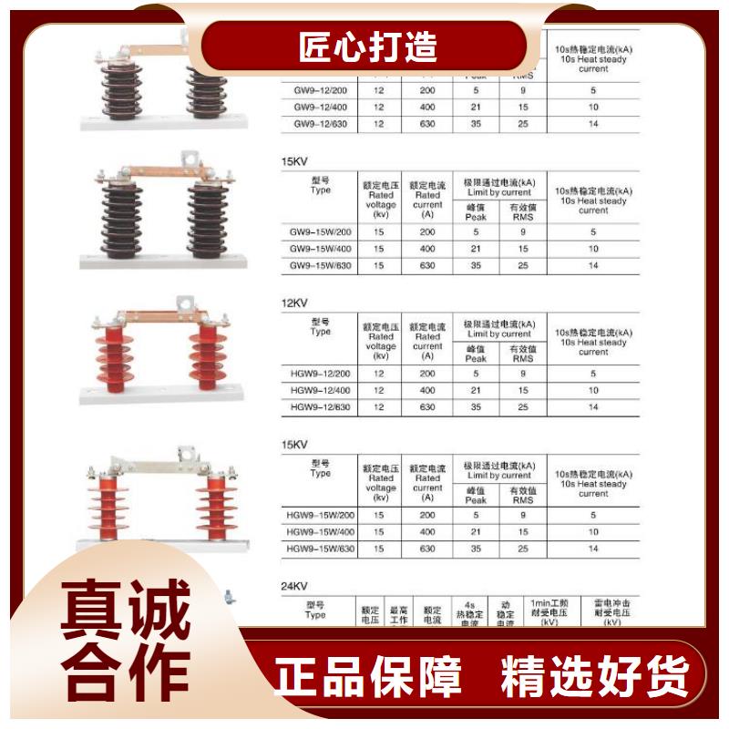 绝缘子ZS-20/10