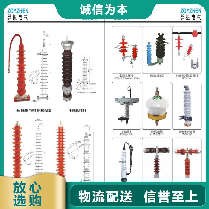 避雷器Y10W1-75/250GW浙江羿振电气有限公司