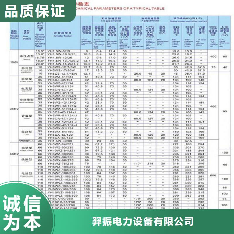 避雷器Y10W1-75/250GW浙江羿振电气有限公司