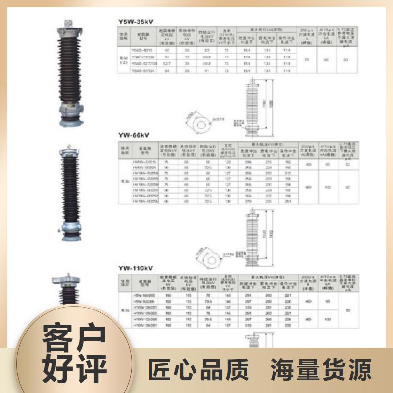 避雷器Y10W1-75/250GW浙江羿振电气有限公司