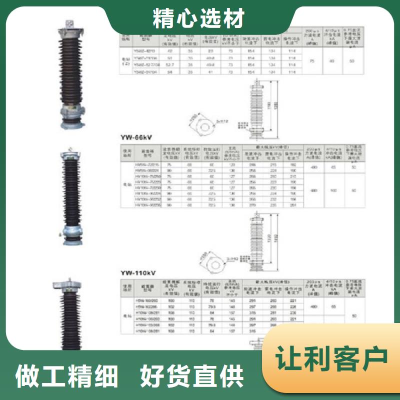 Y10W1-102/266-上海羿振电力设备有限公司