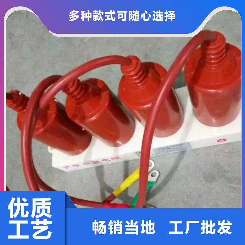 过电压保护器(组合式避雷器)TBP-A-35/630W2