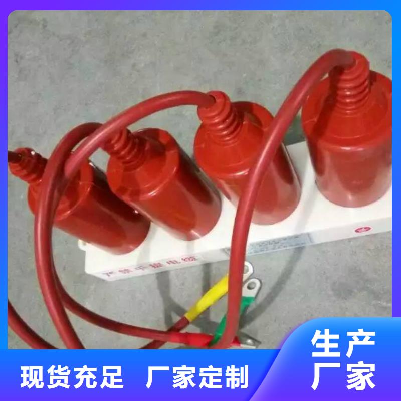 过电压保护器(组合式避雷器)TBP-A-35/630W2