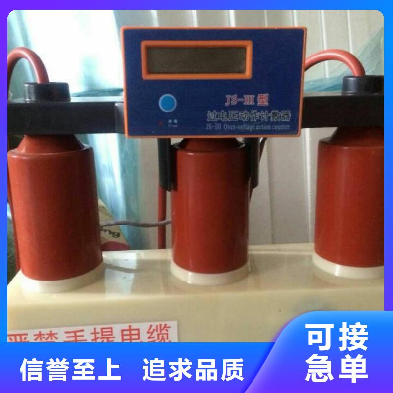 过电压保护器(组合式避雷器)TBP-A-35/630W2