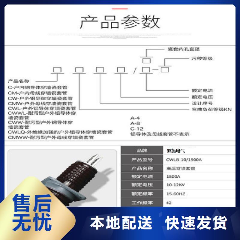 【穿墙套管】CWW-10KV/2500-4