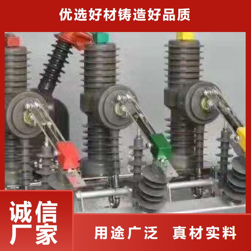 真空断路器-柱上断路器＿AC10kV＿630A＿20kA＿真空＿无隔离闸刀(电动＿弹簧）.