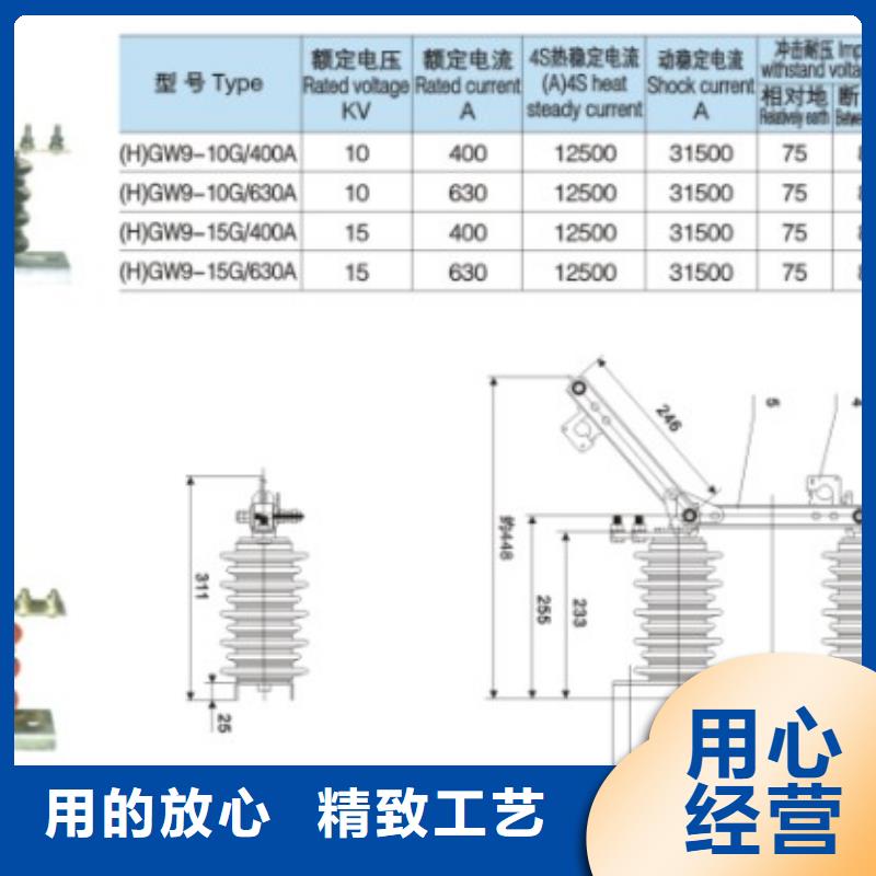 _户外高压隔离开关HGW9-10G/200A