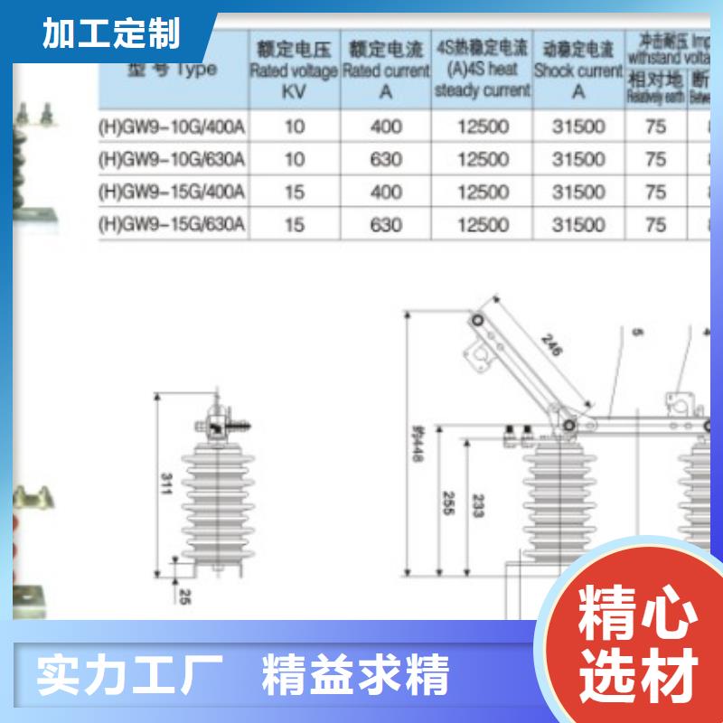 10KV单级隔离开关HGW9-10G(W)/400A