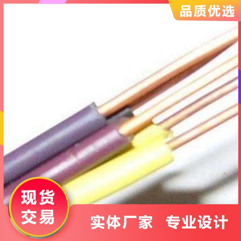 计算机线缆DJYP1VRP1-计算机线缆DJYP1VRP1厂家批发