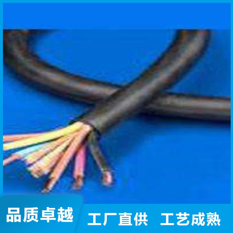 计算机线缆DJYP1VRP1-计算机线缆DJYP1VRP1厂家批发