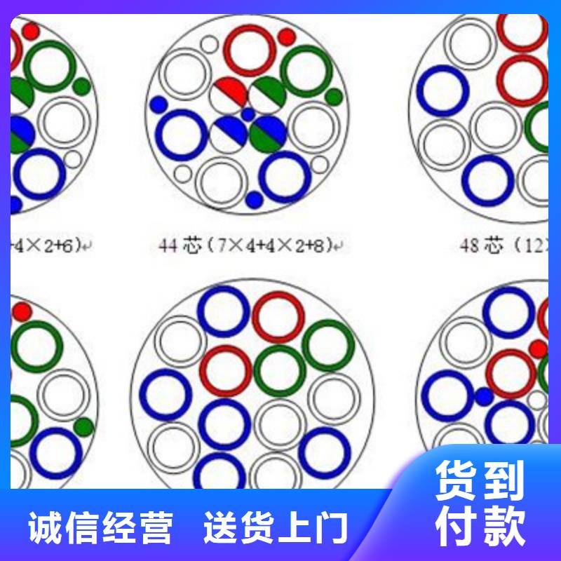 铁路线缆PTYV厂家现货定做