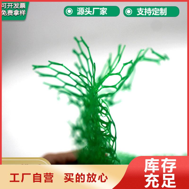 三维植草护坡网垫公司动态