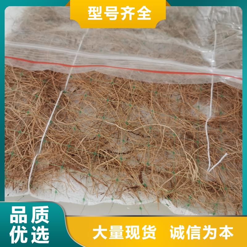 优质原料(鼎诺)椰丝毯HDPE土工膜优质材料厂家直销
