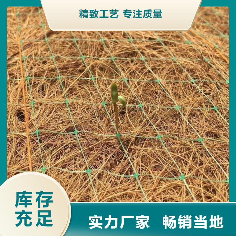 优质原料(鼎诺)椰丝毯HDPE土工膜优质材料厂家直销